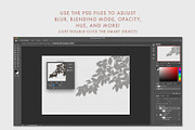 30 Botanical Shadow Overlays, a Mockup by Megs Lang (Thumbnail 4 of 8)
