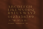 Bicers Elegant Serif Font, a Serif Font by Elegant Font (Thumbnail 8 of 8)