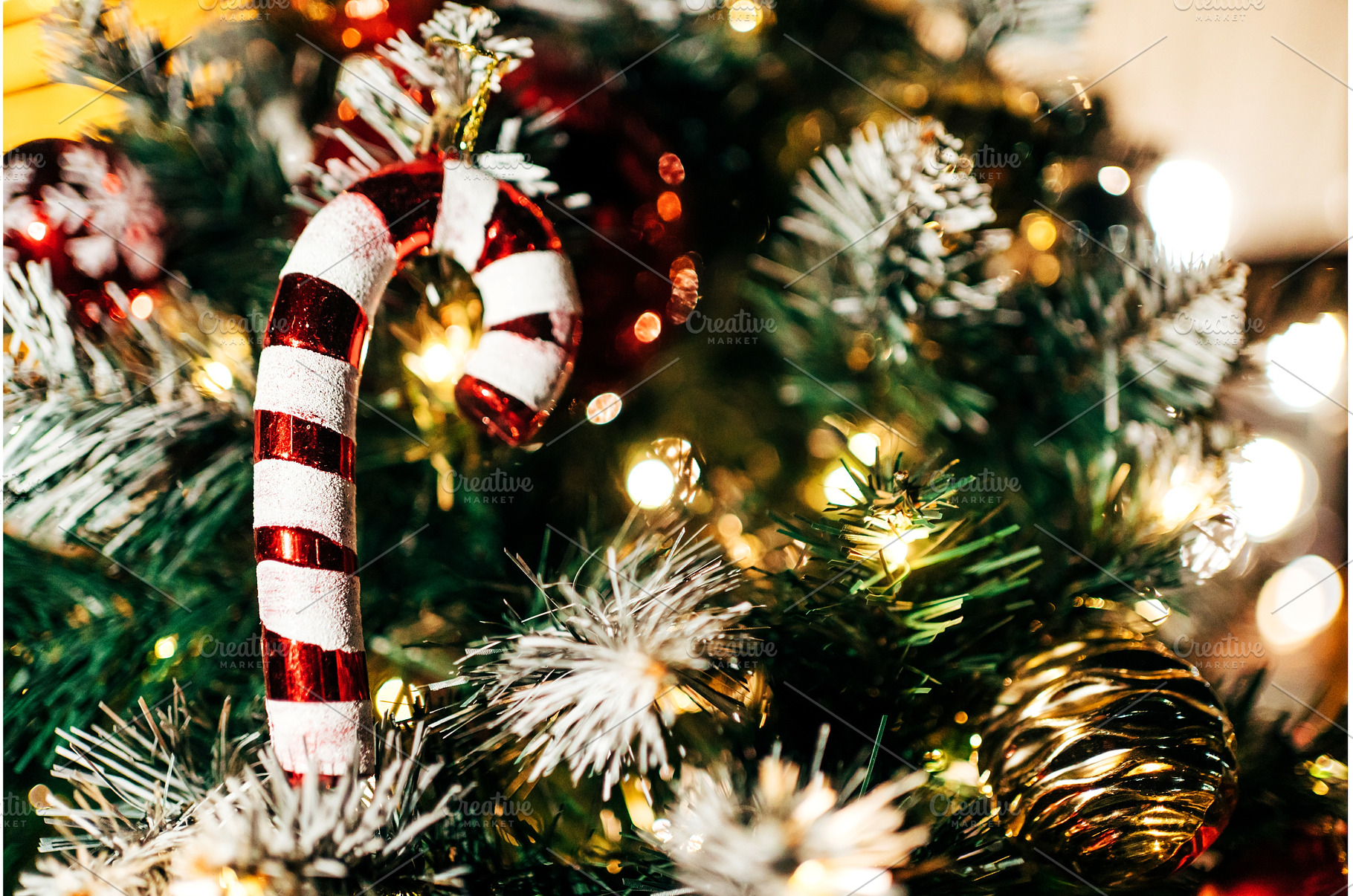 Candy cane ornament hanging on a, a Holiday Photo by Anna Efetova