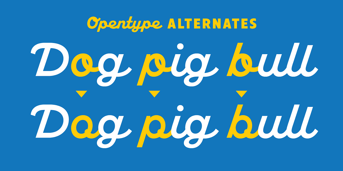 American Auto, a Sans Serif Font by Miller Type Foundry (Photo 15 of 20)