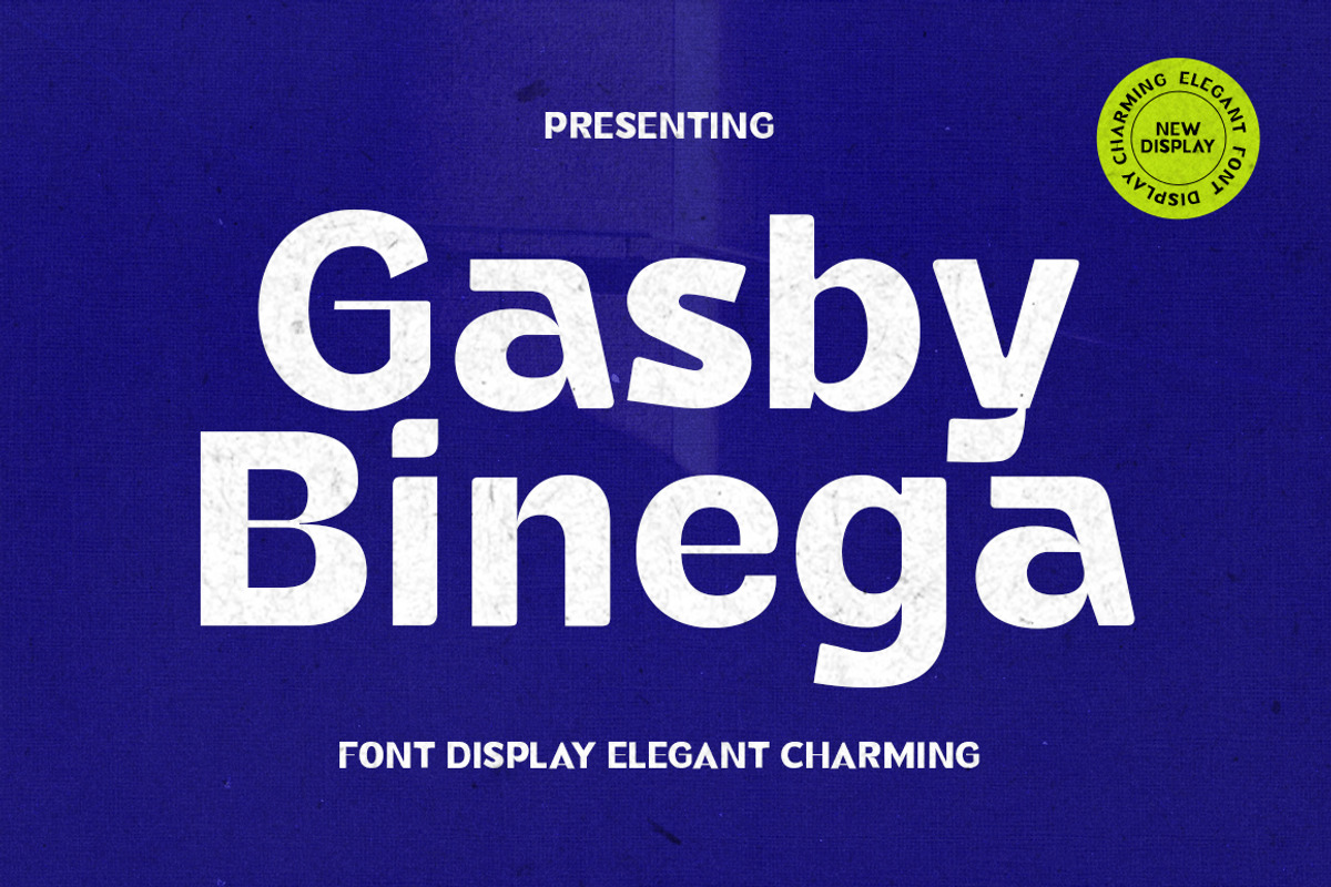 Gasby Binega, a Sans Serif Font by Gatype (Photo 1 of 10)