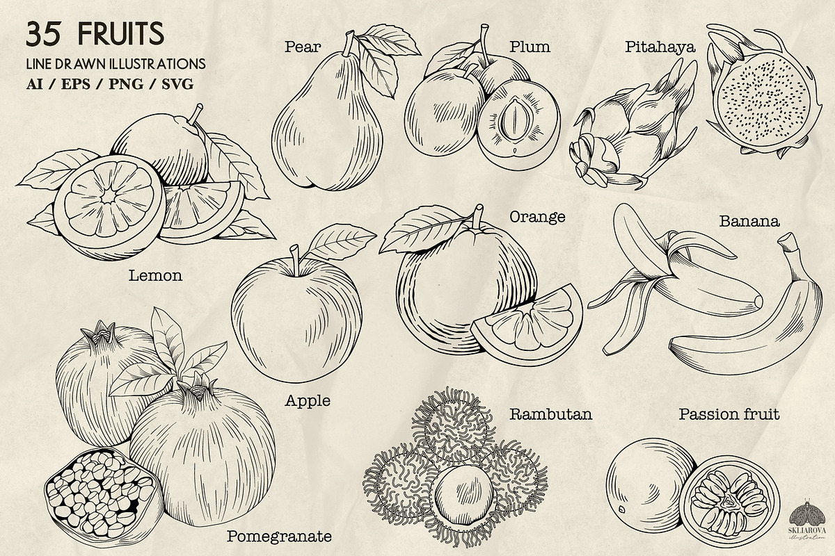 Fruits Line Art + Procreate, a Food Illustration by Skliarova (Photo 3 of 4)