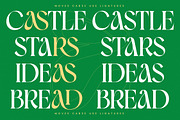 Moves Cabse Modern Display Serif, a Serif Font by timelesstype.co (Thumbnail 10 of 20)