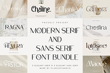 Modern Serif & Sans Serif Bundle