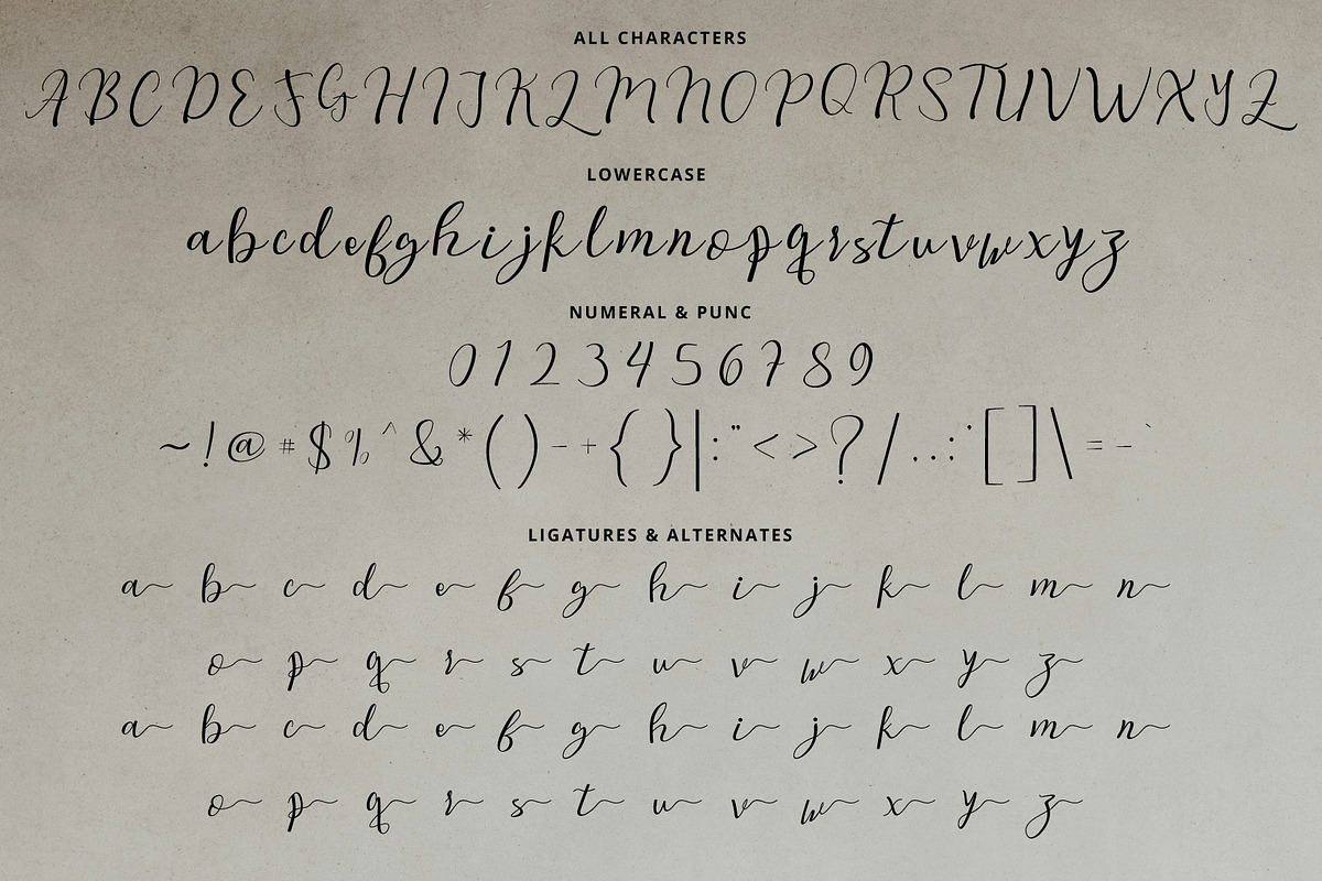 Legno Volante Script, a Handwritten Font by Eltypesstudio (Photo 8 of 10)