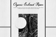 Raw Organic Texture Archive, a Texture Graphic by Purple (Thumbnail 6 of 14)
