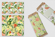 Citrus fruits and flower watercolor, a Decorative Illustration by Kate Lanbina (Thumbnail 18 of 20)