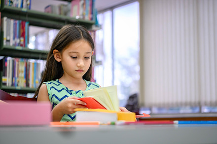 Cute little girl reading books in library attentively at school., a School & Education Photo by Ministocker
