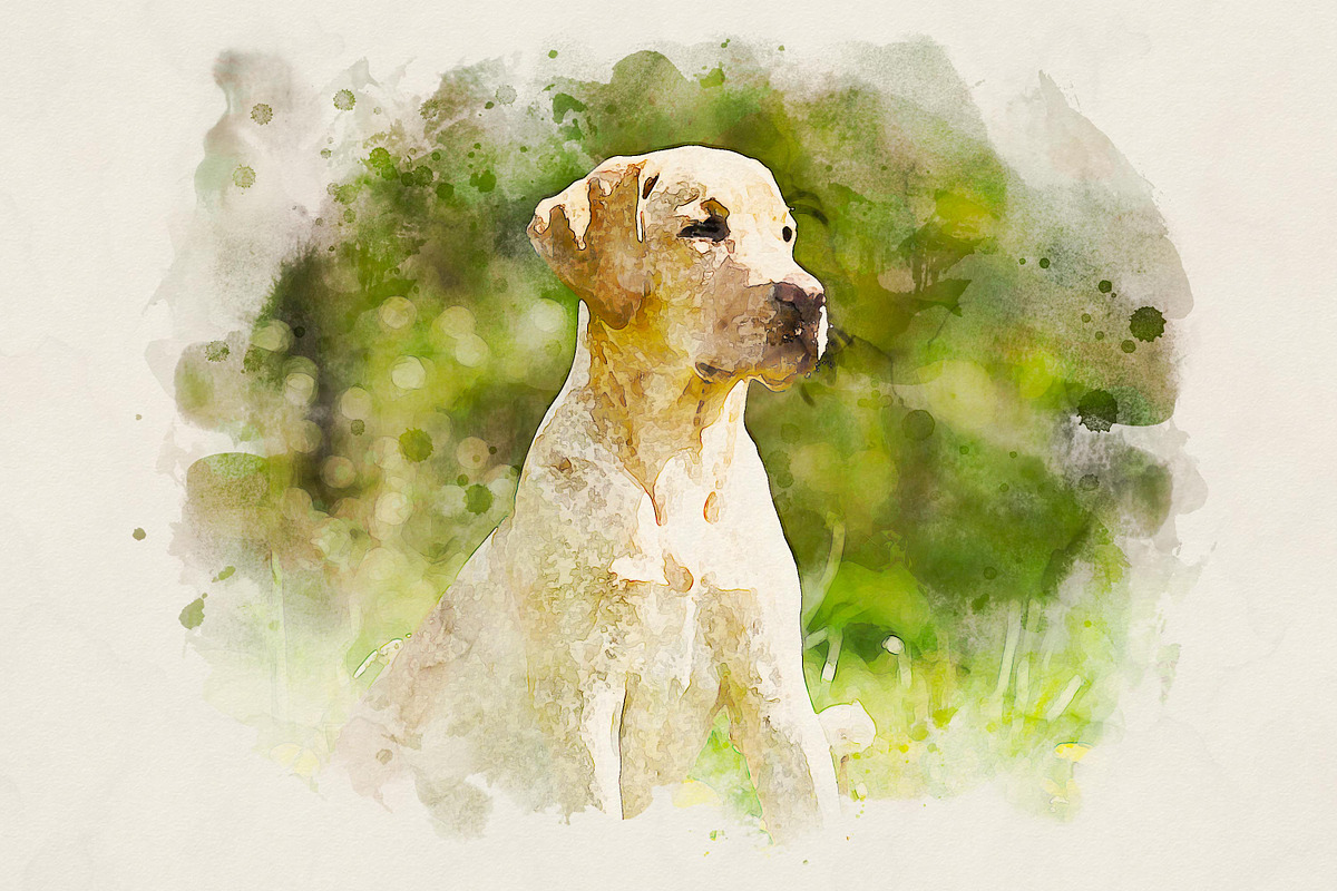 Realistic Watercolor Paint Effect, an Action Add-On by liptouse (Photo 7 of 11)