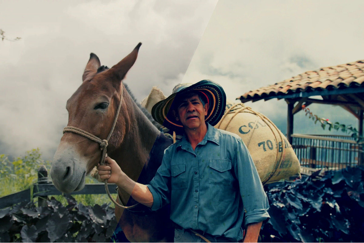 Dramatic cinema luts | Cinematic lut, a Preset Add-On by Presets store (Photo 2 of 8)
