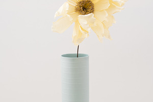 Crepe paper peony stock photo containing paper flowers and peony