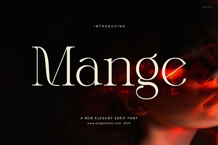 Meet Mange Elegant Serif