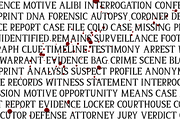 Homicidal Serif Font, a Serif Font by Beck McCormick (Thumbnail 6 of 10)