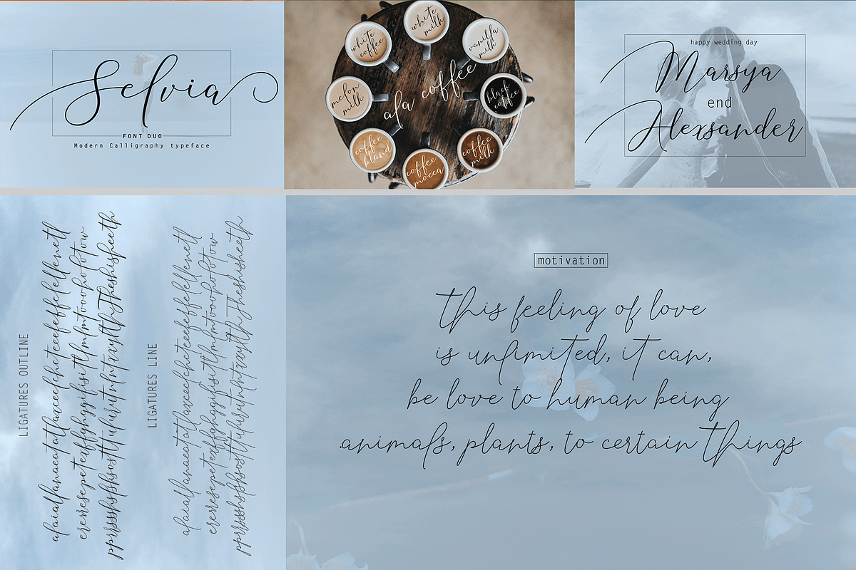 THE COLLECTION BUNDLE, a Script Font by danti (Photo 5 of 31)