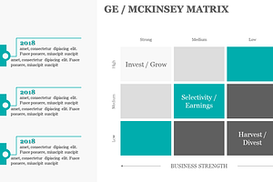 GE / MCKINSEY MATRIX PowerPoint