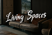 The Mollina | Solid Hand Drawn Brush, a Handwritten Font by gracetype_studio (Thumbnail 9 of 12)