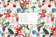 Exotic Orchids, Prints & Motif!, a Pattern Graphic by TSTUDIO (Thumbnail 6 of 10)