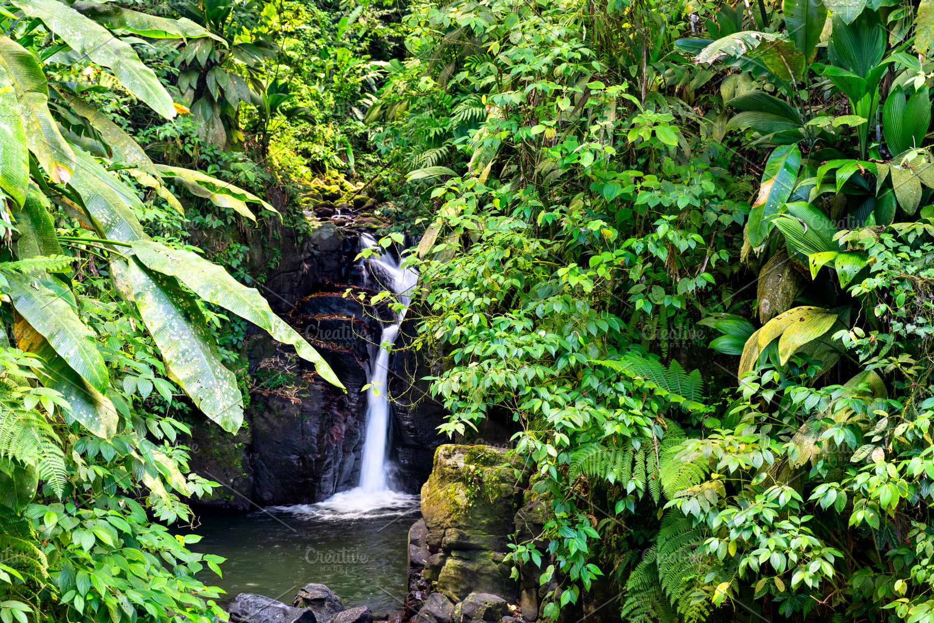 Cascade Absalon in Martinique, an Architecture Photo by Leonid Andronov