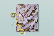 122 Vintage Illustrations of Birds, an Animal Illustration by Graphic Goods (Thumbnail 10 of 14)