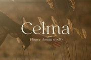 Selna, a Serif Font by Larin Type Co. (Thumbnail 4 of 15)