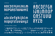 UT Unisportion FC Font Duo, a Sans Serif Font by Universitype (Thumbnail 4 of 13)