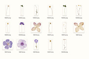 Herbarium Elements 17 PNG, a Nature Photo by Lembrik's Artworks (Thumbnail 5 of 6)