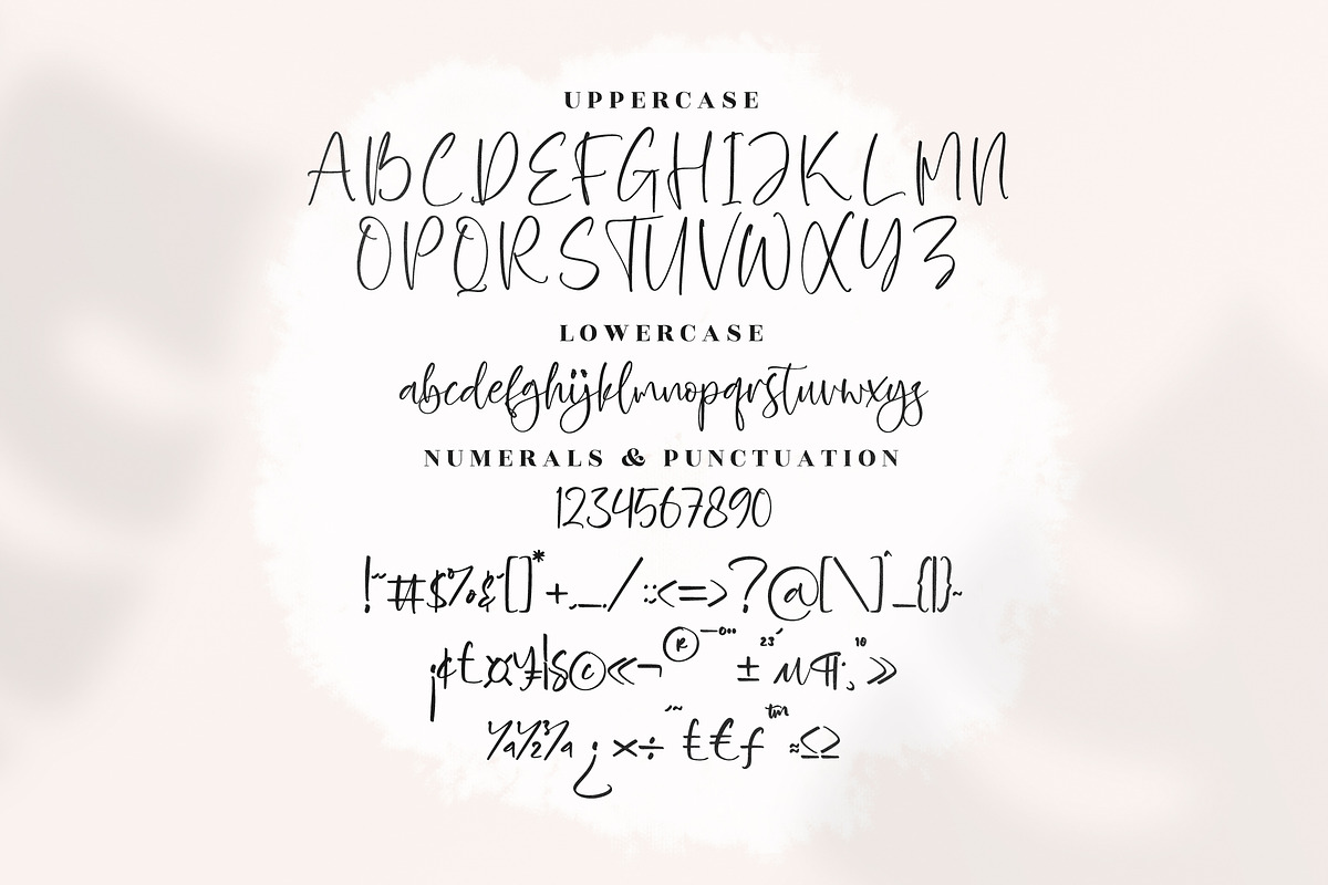 Zofia Larsonty Modern Handwritten, a Script Font by Letterena Studios Script (Photo 13 of 15)