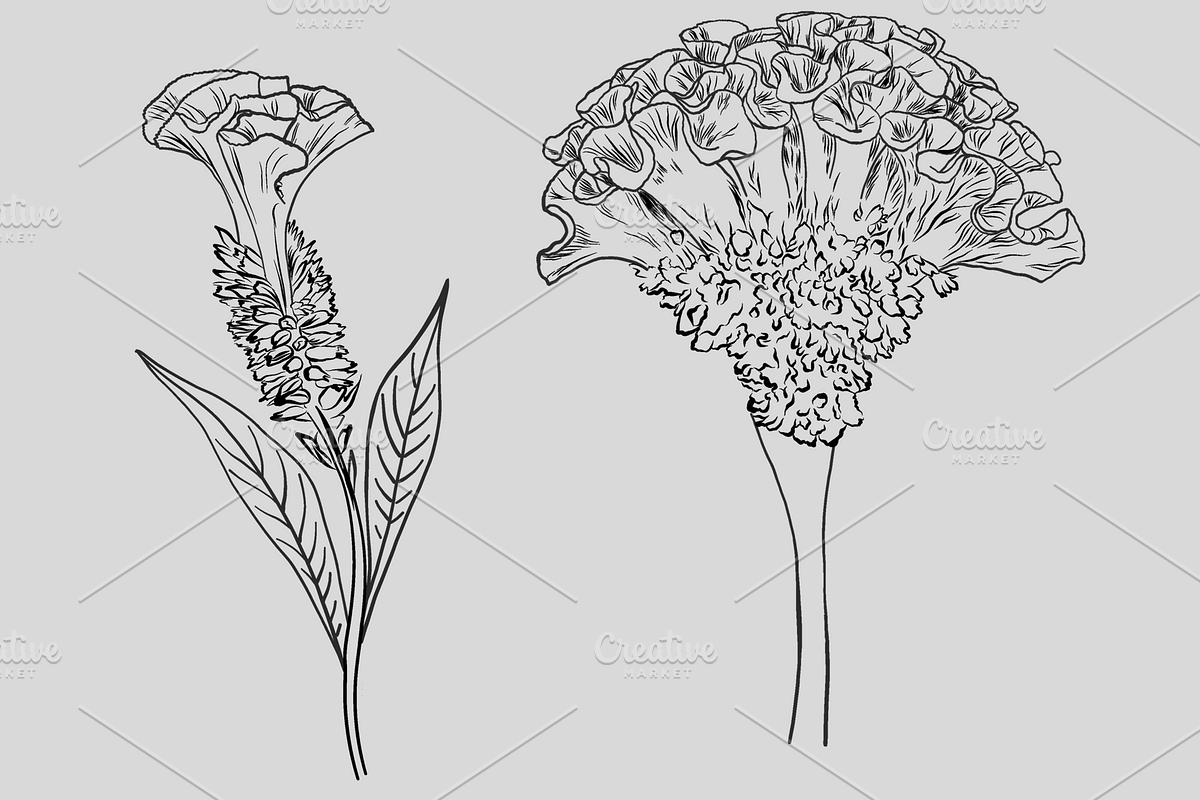 Oriental garden, an Object Graphic by VictoriaKStudio (Photo 5 of 7)