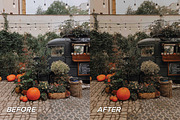 15 Fall Lightroom Presets, a Preset Add-On by TheWayfarerShoppe (Thumbnail 9 of 9)