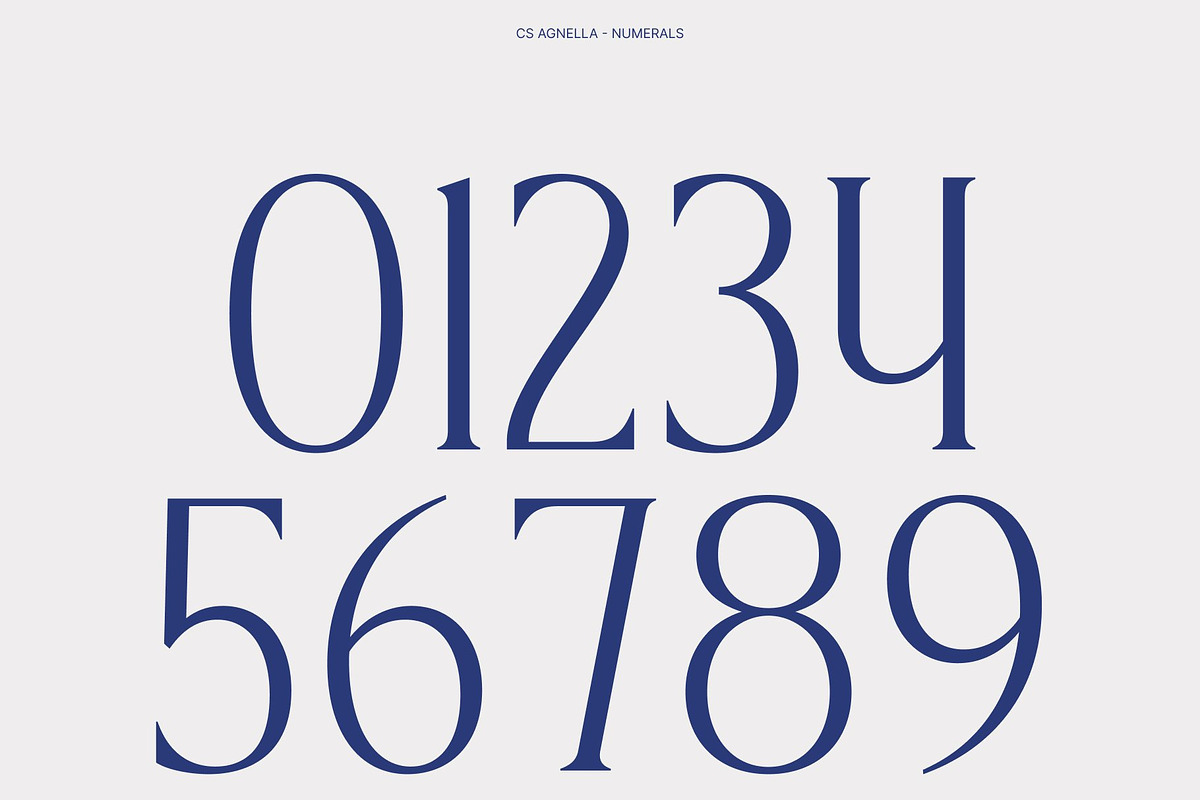 CS Agnella – Elegant Serif Font, a Serif Font by Craft Supply Co. (Photo 4 of 8)