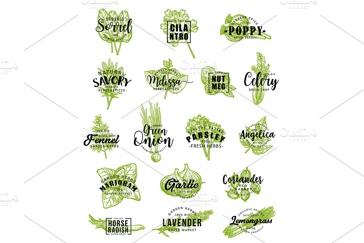 Spices and herbs icons lettering, a Food Illustration by Vector Tradition