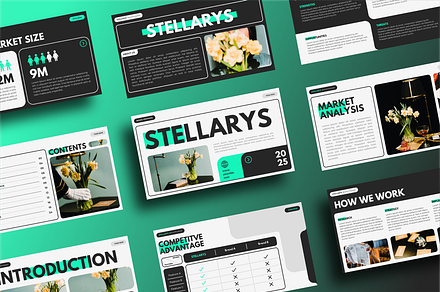 STELLARYS - Brand Proposal