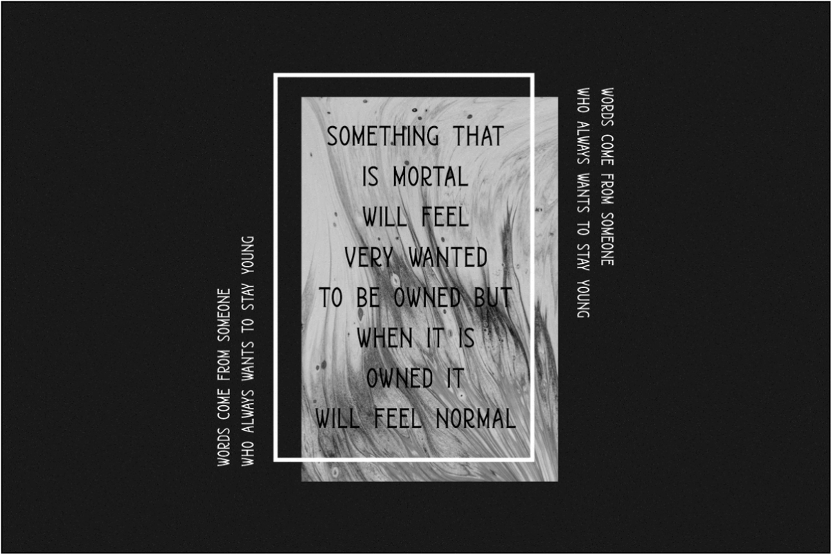 Healery Serif Modern Font, a Serif Font by Typegoals Studio (Photo 2 of 7)