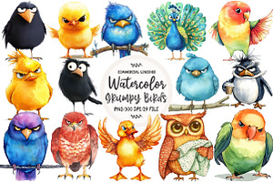 Funny Grumpy Birds Clipart, an Illustration by OK Design
