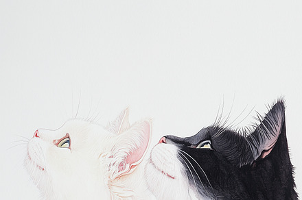 Two adorable cats sitting together