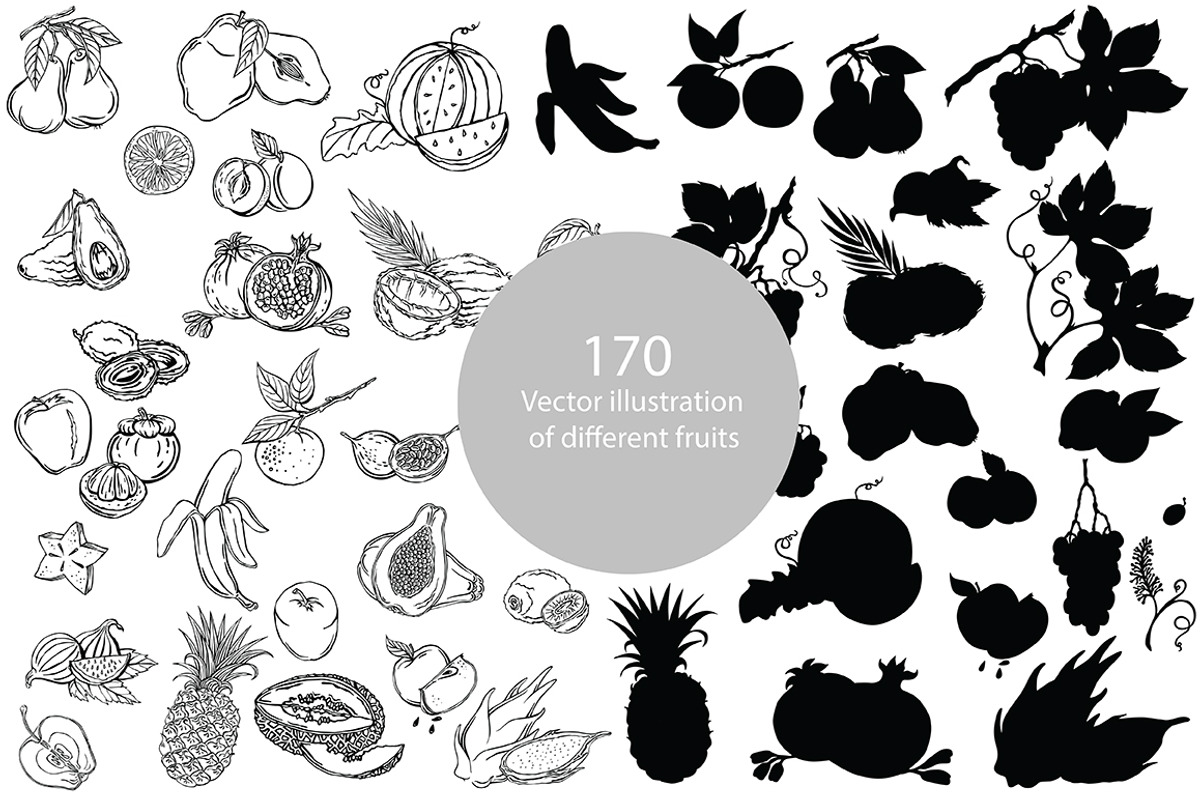 Vector illustration of fruits, an Illustration by risovanya (Photo 2 of 5)