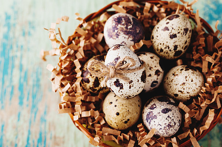 Easter Quail Eggs in stylized nest