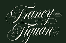 Francy Tiguan | Classy Script Font