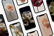 80 Floral Aesthetic Stock Images, a Background Photo by Digital Asset Co (Thumbnail 7 of 9)