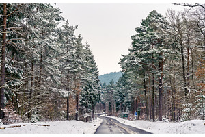 Road in the vosges mountains in winter basrhin department of france, a Nature Photo by Leonid Andronov