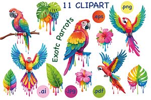 Colorful Tropical Parrots Clipart