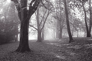 10 Matte B & W Landscape Drama, a Preset Add-On by Timeless Presets (Thumbnail 17 of 17)