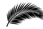 Stylish tropical palm wall decor, an Illustration by Amazin_art (Thumbnail 21 of 33)