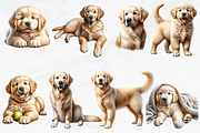 Golden Retriever Clipart Bundle, an Animal Illustration by Bijou Bay (Thumbnail 4 of 4)