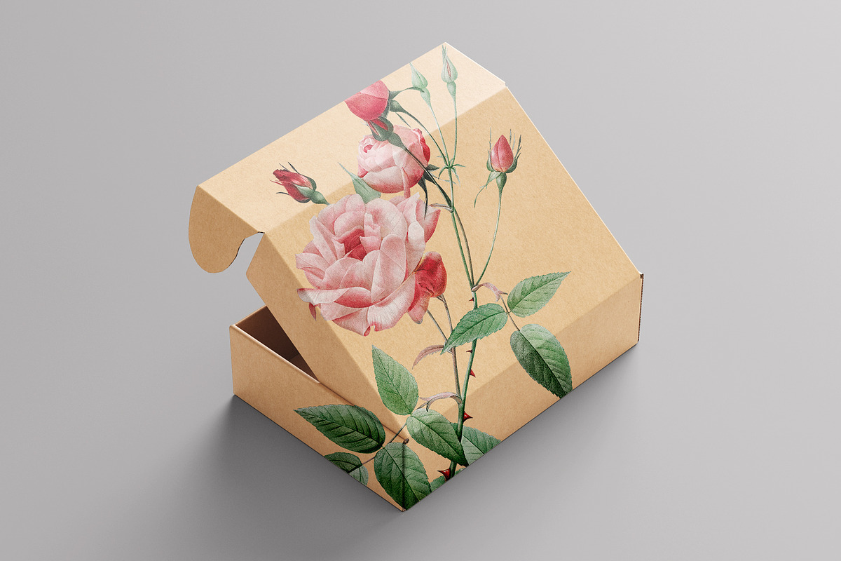 VINTAGE FLOWERS Watercolor Png Set, an Object Graphic by Oksana Trygub (Photo 6 of 8)