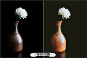 Night and Low Light LUTs, a Plug-in Add-On by Raztrend (Thumbnail 28 of 30)