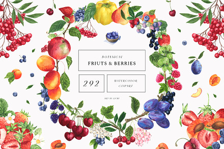 Fruits & Berries Botanical, a Food Illustration by LiChu Art