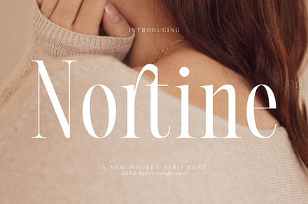 Nortine A New Modern Serif Font, a Serif Font by Storytype Studio