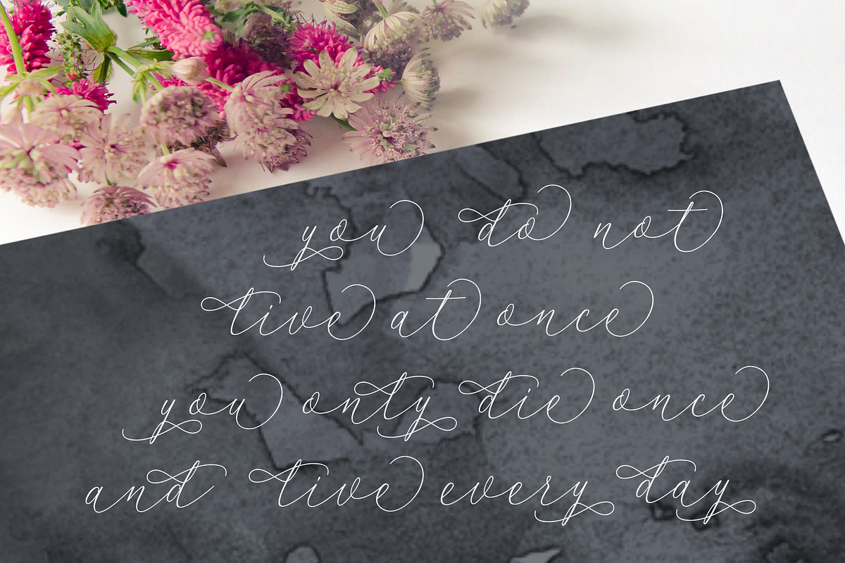 Sentosa, a Script Font by PollemSt (Photo 2 of 12)