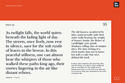 Captione, a Serif Font by Zafara Studios (Thumbnail 2 of 9)